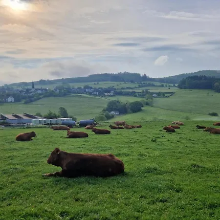 Sauerlandherz 아파트