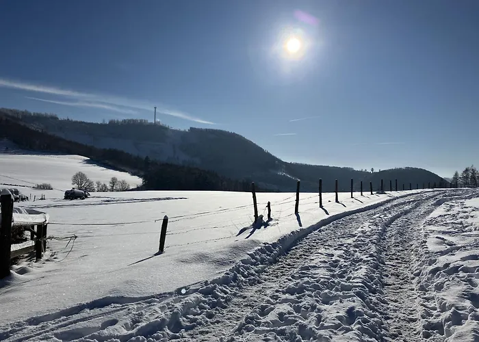 Sauerlandherz Lejlighed