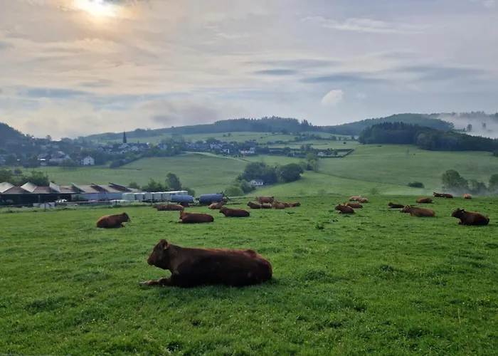 Sauerlandherz Lejlighed